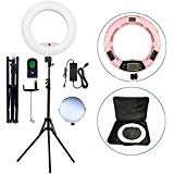 Yidoblo Bicolor 96W LED Ring Light Kit with Stand for Photo Studio Video Portrait Film Selfie YouTube Photography Continuous Lighting with Remote, Phone/Camera Holder, Makeup Mirror, Travel Bag Pink