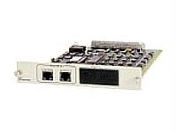 Adtran TSU NETVANTA Routing Module (1202350L1)