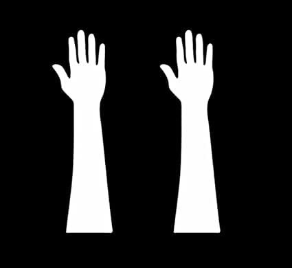 ENBY Reusable Washable Acrylic Hand for Mehendi Practice (PACK OF 2) 1