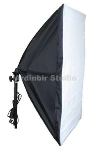 Ardinbir Studio 1200w 5500K Daylight Continuous Cool Fluorescent Video Lighting Kit with Portable Collapsable Easy Open 20"x28" Softbox Diffuser and Light Stand 3