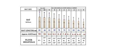 JRS Sharp Vision Cricket Cricket Bat with Free Ball for Boys & Kids (Sticker multibrands) 6-7 Year Unisex 3