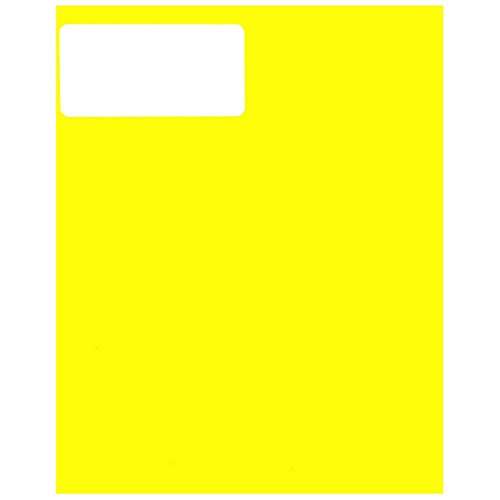 JAM PAPER Shipping Address Labels - Standard Mailing - 2 x 4 - Neon Fluorescent Yellow - 120/Pack 2