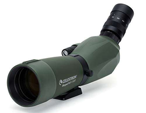 Celestron Regal M2 65ED Spotting Scope – ED Glass for Hunting, Birding and Outdoor Actvities – Phase and Dielectric Coated BaK-4 Prism – Fully Multi-Coated Optics – Dual Focus – 16-48x Zoom Eyepiece 1