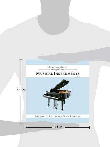 Brainsmith Quantum Cards – Musical Instruments Set 1 – Encyclopaedic Flashcards – Early Learning – Sensory Development - Birthday Gift (for Children from 8 Months and Above – Brain Development) 3