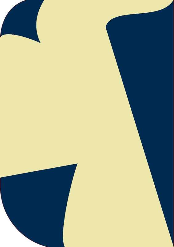 VK Vistook® Non-Transparent 2-in-1 Photography Backdrop Background Chromakey, 2 Colors in Single Backdrop (Navy-Blue_Skin-8*10ft) 1