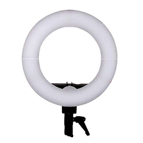 JION 14-Inch Self-Timer Ring Light with Tripod Stand and Phone Holder for Live/Makeup/Photography Mini Led Camera Ring Light Compatible with iPhone Android 1