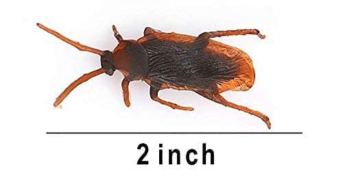 Boxo Prank Gag Toy Fake Rubber Lizard Prank Joke for Kids 2 Pcs 3