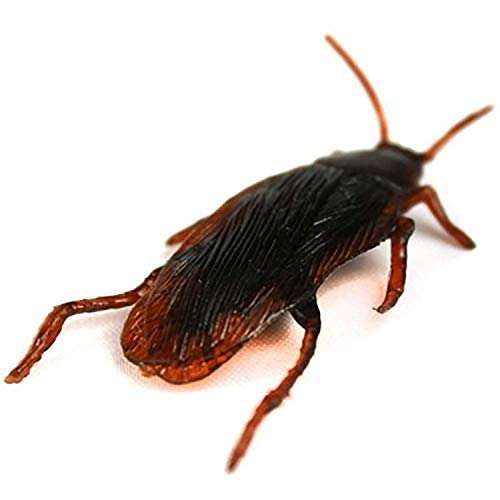 Boxo Prank Gag Toy Fake Rubber Lizard Prank Joke for Kids 2 Pcs 1