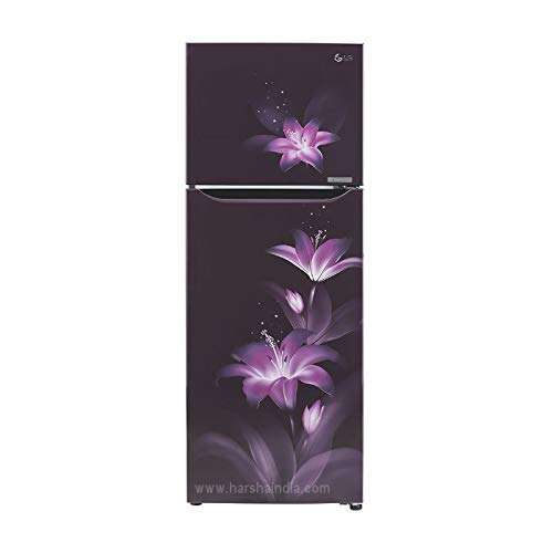 LG 284 Litres Convertible PLUS Fridge with Smart Inverter Compressor, Door Cooling+â„¢, Smart Diagnosisâ„¢, Auto Smart Connectâ„¢