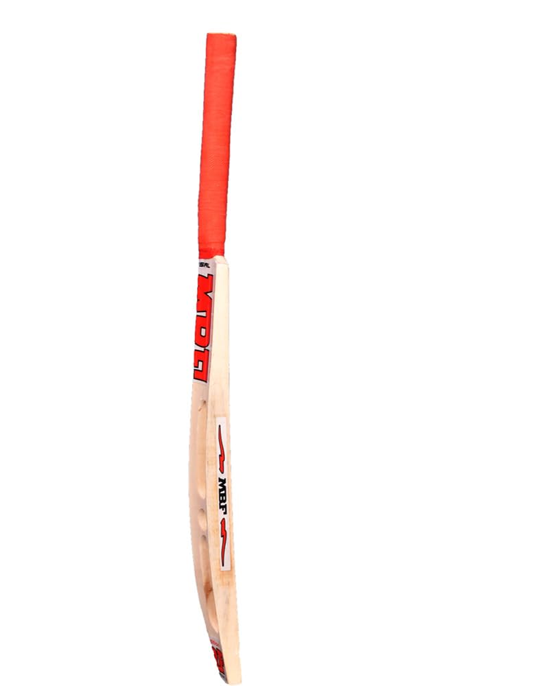 KANSAL MBF Scoop Popular Willow Premium Cricket Bat and Cover for Man's & Adult, Advance Play All Tennis Ball, Tournament Match (Size 05) 2