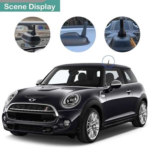 Anina 2.5 Inch Stubby Antenna Mast Compatible with 1998-2019 Mini Cooper/Countryman BMW Z3/Z4/128i VW Polo/Golf AM/FM Radio Antenna Car Wash Proof 5