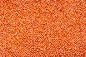 MASOOR DAL-RED LENTILS-SEED POWDER 100 GM 4