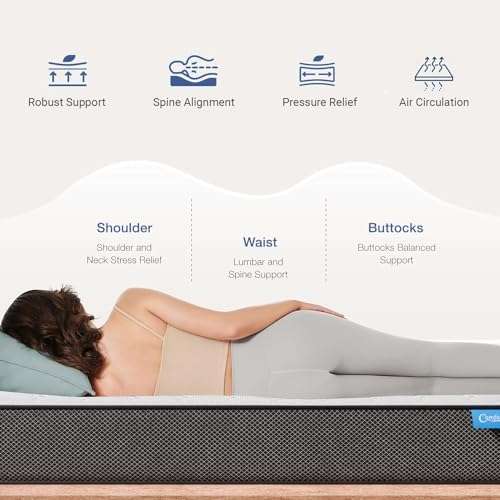 Comforto Hybrid Mattress | Single Size Mattress | Pocket Spring with Orthopedic Memory Foam Mattress | 100 Nights Trial | 8 Inch Mattress | Medium Firm Comfort | 75x36x8 Inch 3