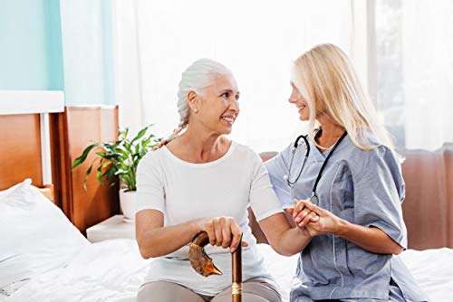 Orsus Wooden Walking Cane for Women Walking Stick Fox Hand Carved Stick 36" Womens Stick 6