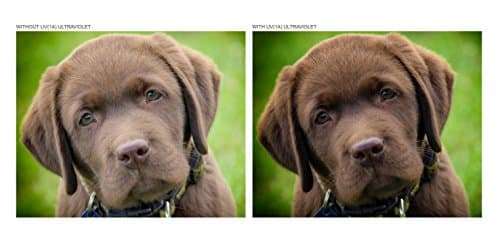 Digital Nc Nikon Normal AF Nikkor 50mm f/1.4D High Grade Multi-Coated, Multi-Threaded, 3 Piece Lens Filter Kit (52mm) Made by Optics + Nwv Direct Microfiber Cleaning Cloth. 4