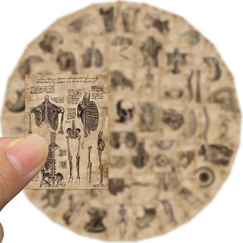Meet Holiday Human Skeleton Anatomy Stickers, 56 Pcs, Vinyl, Waterproof, for Teachers, Wall, Furniture, Door, Gifts 5