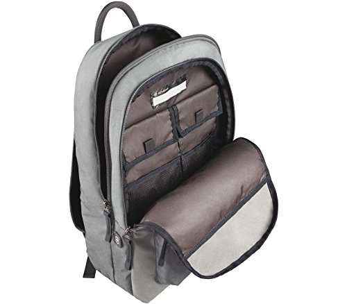 Altmont 3.0, Standard Backpack, Gray 5