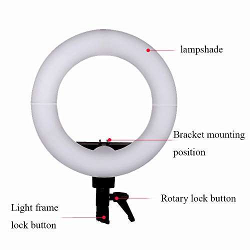 JION 14-Inch Self-Timer Ring Light with Tripod Stand and Phone Holder for Live/Makeup/Photography Mini Led Camera Ring Light Compatible with iPhone Android 3