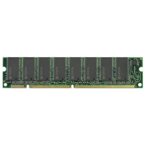 Centon 256MB PC100 Memory (256MBPC100)