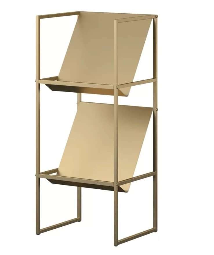 INDIDECOR 25025 Classic 2-Tier Vinyl Record Storage Rack, Vinyl Record Shelf, LP Storage Shelf, Record Holder for Albums, Large Capacity Vinyl Record Display Stand - Golden 1