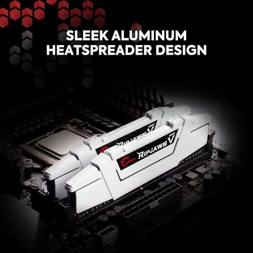 G.SKILL RipjawsV Series DDR4 RAM (XMP) 16GB (2x8GB) 3000MT/s CL15-16-16-35 1.35V Intel AMD Desktop Computer Memory U-DIMM - Black (F4-3000C15D-16GVKB) 4
