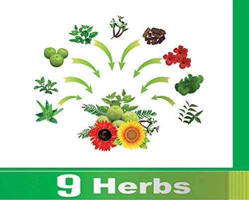 HI-FI India Natural Herbal Conditioner Henna Colour | Amonia Free Hair Colour | Natural Black Colour 15 Gms - Pack of 10 4