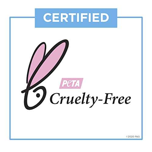 Secret Invisible Solid Antiperspirant Deodorant-Powder-2.6 oz 6