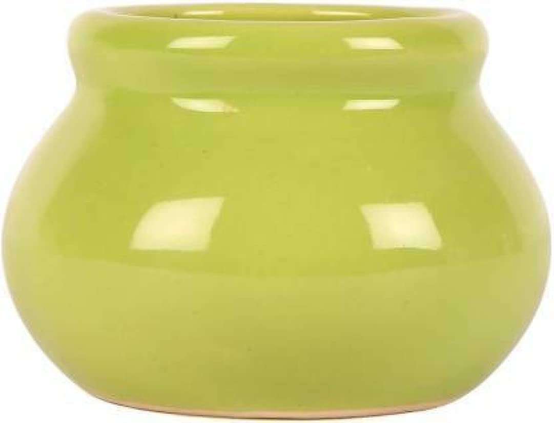 The Mug factory Original Ceramic Boat Shaped Planter, Grass Printed Container & Vase, White Color, Size ( L 22 cm x H 9 cm x B 11 cm), Pack of 1 5