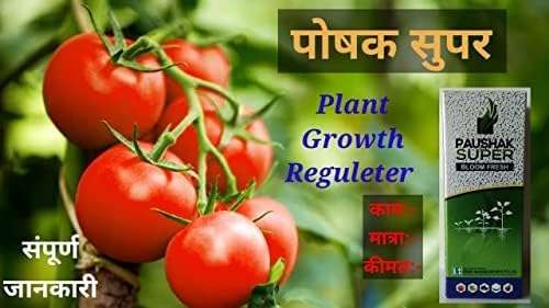 Paushak Super Star (100 Ml) Combo with 250gm neem Khad Powder Plant Growth Regulator For All Crops 6