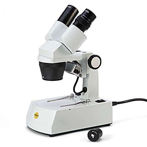 Swift S308 Binocular Stereo Microscope for 20X, 40X, and 80X Magnification, with 2MP Digital Eyepiece Camera, Wide-Field 10X and 20X Eyepieces, and Tungsten Lighting 2