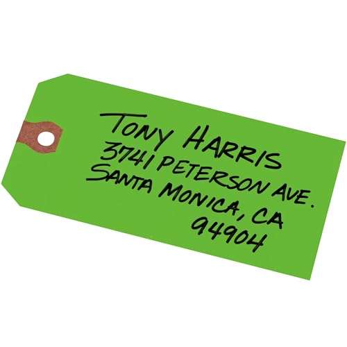 Avery Unstrung Shipping Tags, 11.5 pt. Stock, 4-3/4" x 2-3/8", 1,000 Green Hang Tags (12365) 1