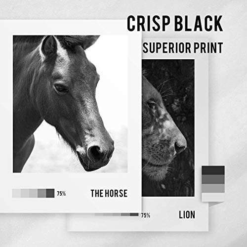 BENETONER Remanufactured Ink Cartridge Replacement for HP 901 XL 901XL Work with OfficeJet 4500 J4550 J4680 J4580 J4540 J4660 J4624 J4640 (Black, 2-Pack) 4