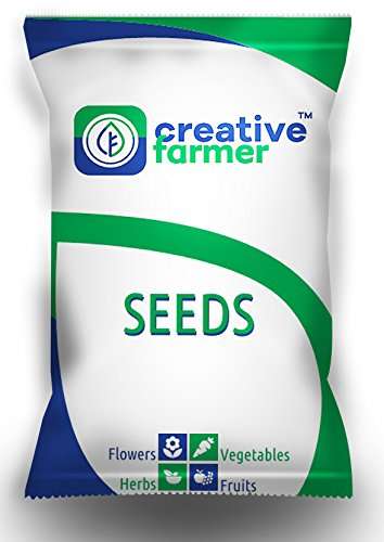 Creative Farmer Vegetable Seeds Thanni Mathan Seeds - Watermelon Striped Oval Seeds Seeds For Farming Home Garden Seeds 2