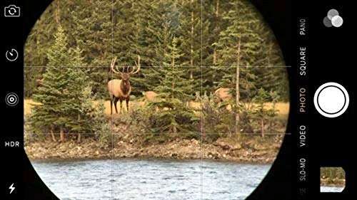 BoneView Optic Mount Smartphone Adapter - Universal Bracket Adapts to Binoculars Monocular Spotting Scope Telescope and Fits iPhone or Android Phone Camera 5