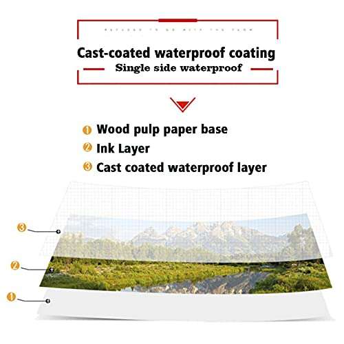 T6 500 Sheets 4x 6inch 4R High Glossy Photo Paper Waterproof Professional photographic Paper Works with Inkjet Printers 230gsm 3