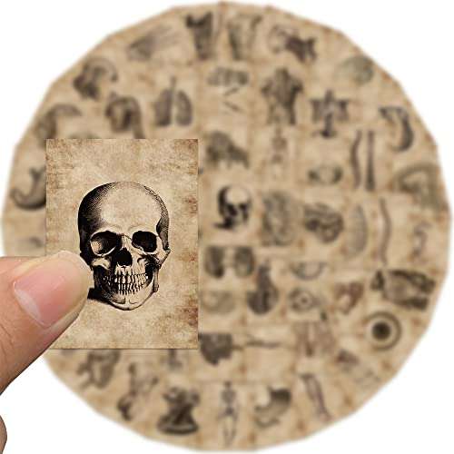 Meet Holiday Human Skeleton Anatomy Stickers, 56 Pcs, Vinyl, Waterproof, for Teachers, Wall, Furniture, Door, Gifts 3