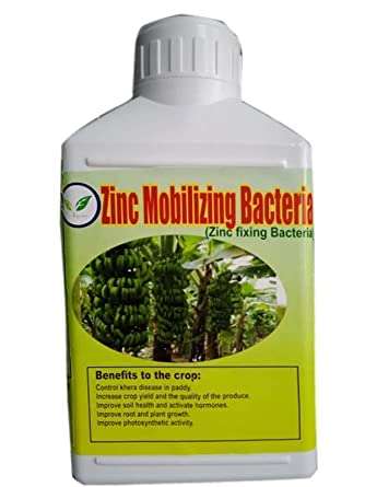 Iagrifarm Zinc/Liquid Growth Promoter- 10 Liter - Zinc Solubilizing Bacteria- India's 1st ISO 9001:2015 Certified Brand for All Crops 3