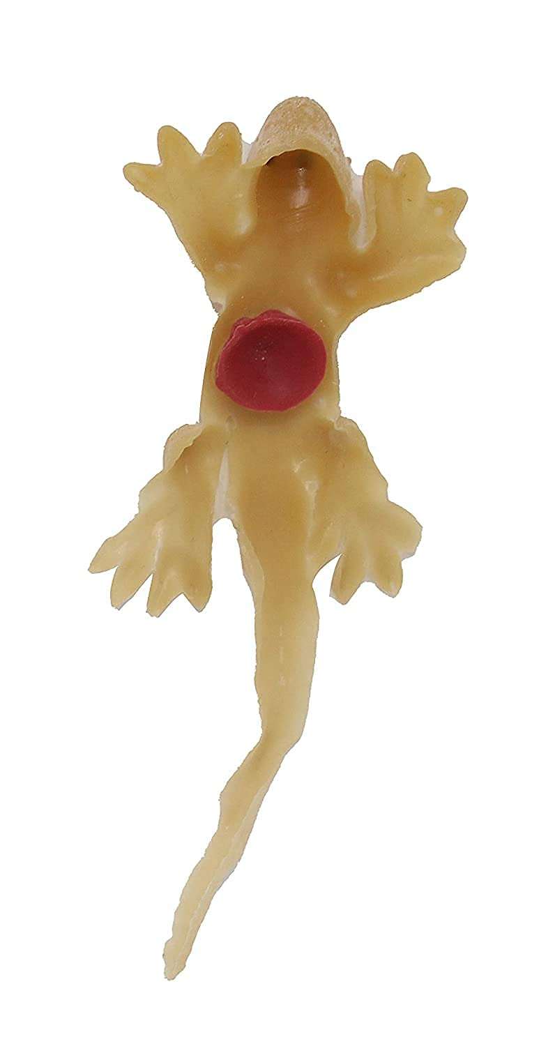 Pelo Prank Accessories April Fool Toys Practical Joke Fake Toy for Kids Adults Set of 2 (Model-6) 5