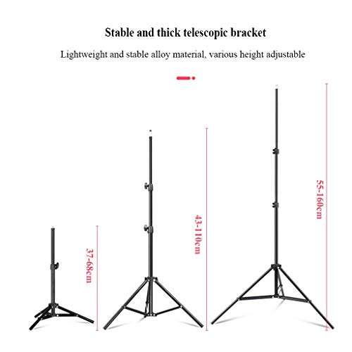 QFFL LED Ring Light Floor-Standing LED Ring Fill Light Soft Light 3 Colors with Tripod Stand and Phone Holder USB Interface Power Supply for Makeup Video Photography (Color : 43-110CM) 6