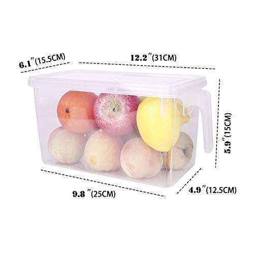 Plastic Fridge Storage Organizer Container with Lid & Handle – 5L Transparent Refrigerator Organizer Box for Vegetables & Fruits (Pack of 1) 4