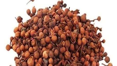 Akshayshree Sales Original Nagkesar Seeds/Nag Kesar/Nagakesara/Nagkesar/Mesua Ferrea/Champa Phool/Saffron Nagaesara (Pack of 1-50 gm) 1