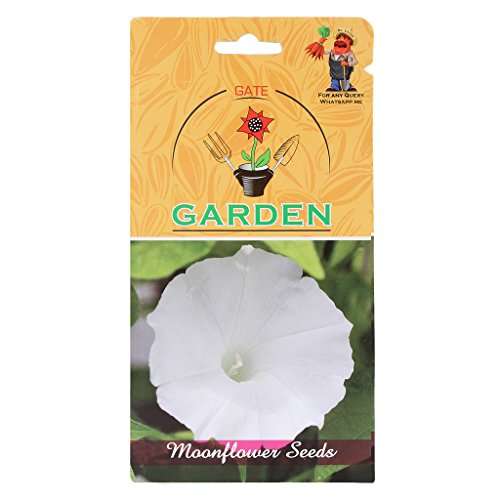 Gate Garden GTGDN16 Moonflower White Flower Seeds (1.5 Gram)
