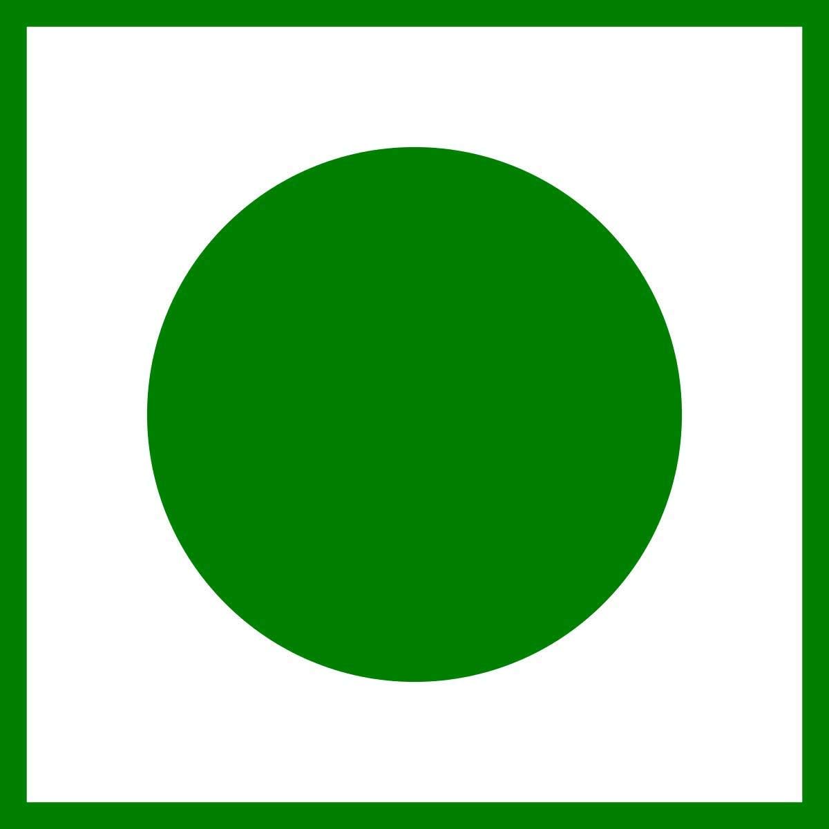 Organic Anand Soapnut / Aritha / Reetha Powder 200 Grams For Hair Care | Natural | No Added Preservatives and Additives | Sapindus Mukorossi Powder, Antuvala pudi / Kunkudukaya Podi 5