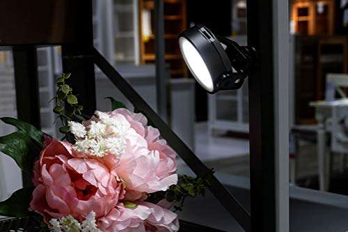 SUNWAYFOTO FL-54 Led Light for Camera Video Photography 3000-5500k Bi-Color Camping lights Cold Shoe Mount 3