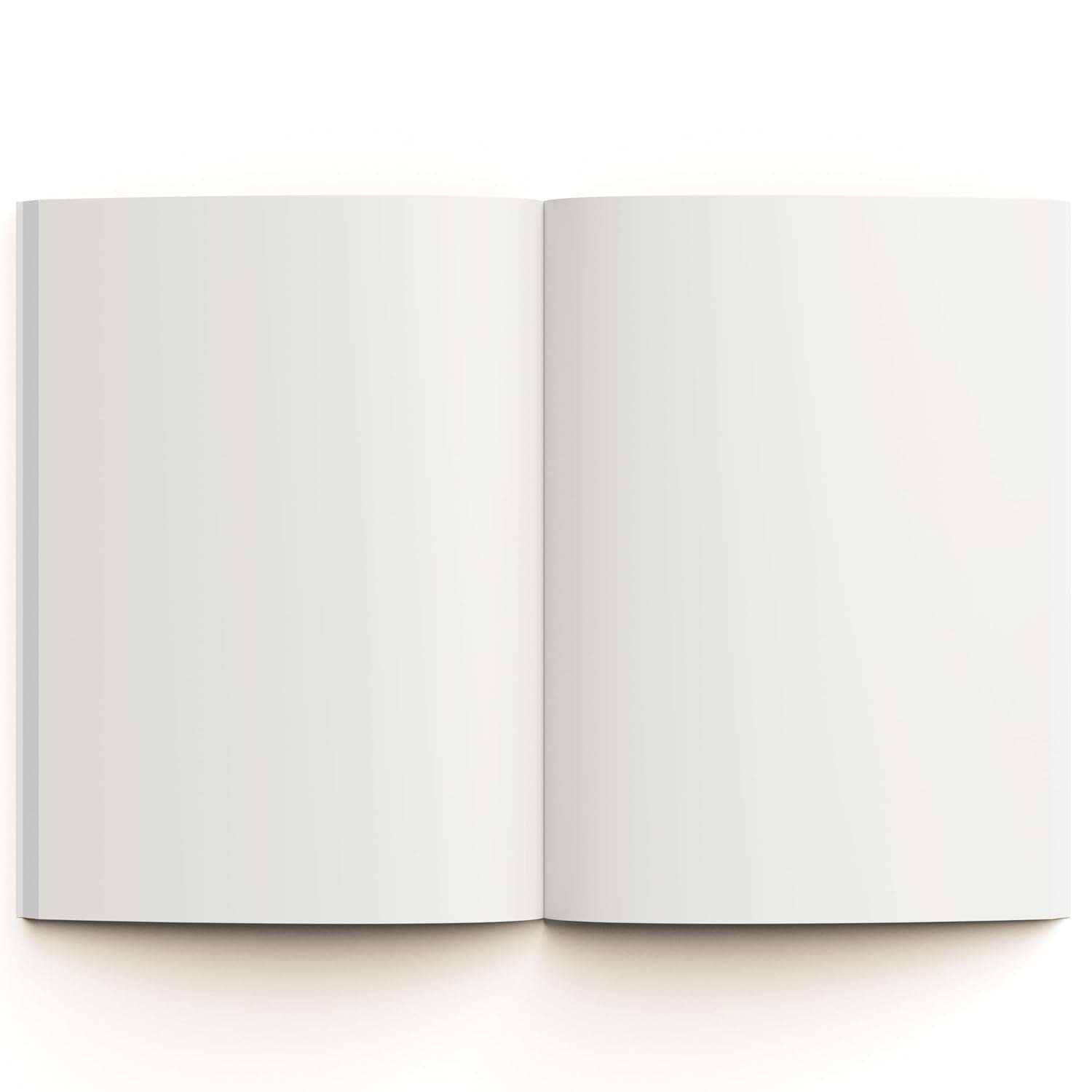 LAURET BLANC Unruled Notebook- A5 Size, 160 Plain Pages, 90 GSM (Colour 2) 4