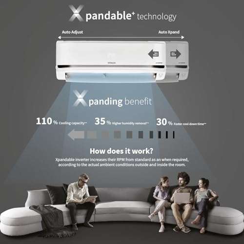 Hitachi 2 Ton Class 5 Star, 4-Way Swing, ice Clean, Xpandable+, Inverter Split AC (100% Copper, Dust Filter, 5500STXL RAS.V522PCBISH1, White) 2