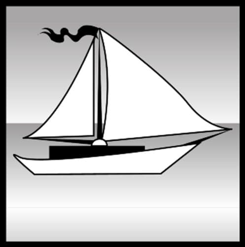 Sonin 00700 Water Alarm with Remote Sensor 3