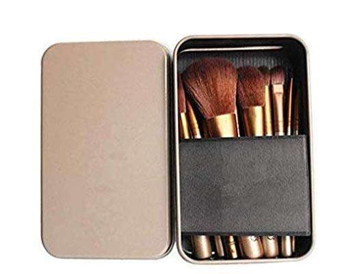 Small Brush set in container case 1