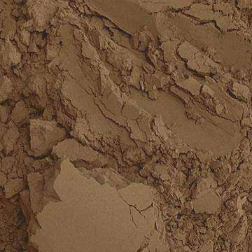 The Earth Tone Collection - 3 Pack Natural Mineral Pigment Pack (150 ml|5OZ EA): Light Yellow Ochre France | Natural Umber CPR | Burnt Umber France 5