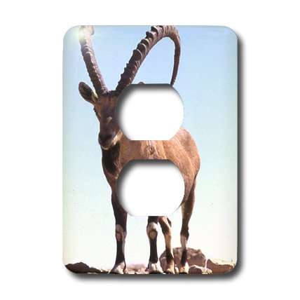3dRose lsp_1317_6 Nubian Goat 2 Plug Outlet Cover 2